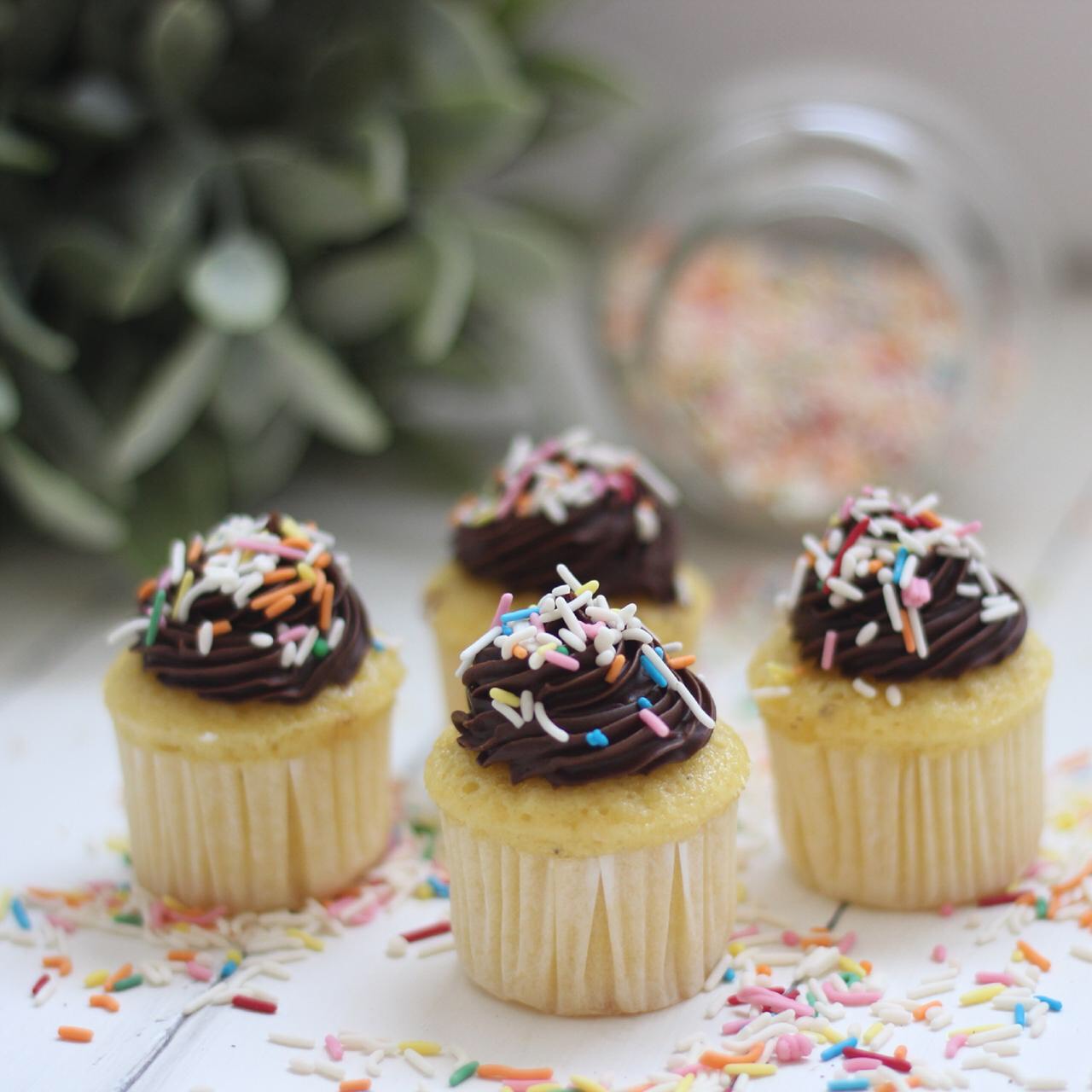 كب كيك فانيلا شوكولاتة