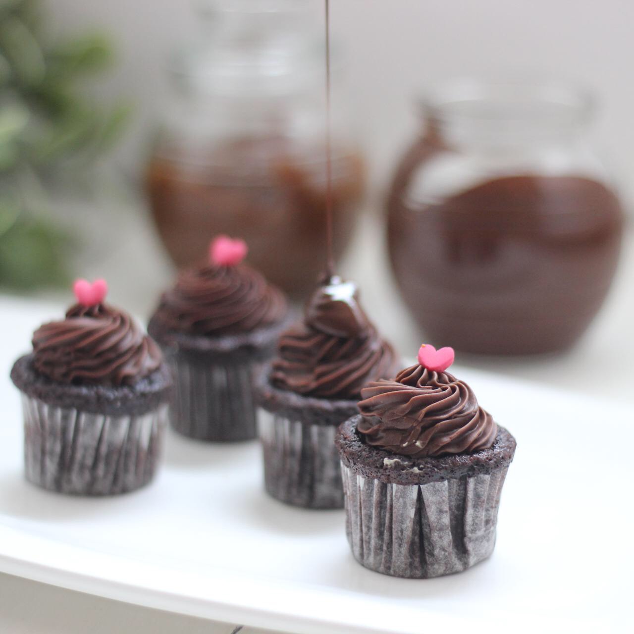 كب كيك شوكولاتة م.ت